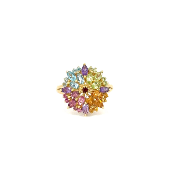 Multi color Parol: KR21-361